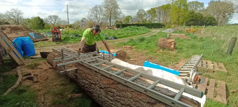 Sciage de chêne en planche. ARBRE design 