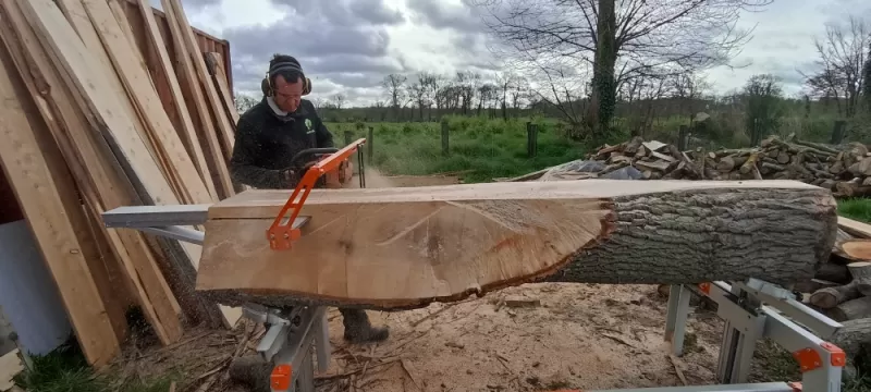 Sciage en planche d'un chêne à Combourg arbre design 
