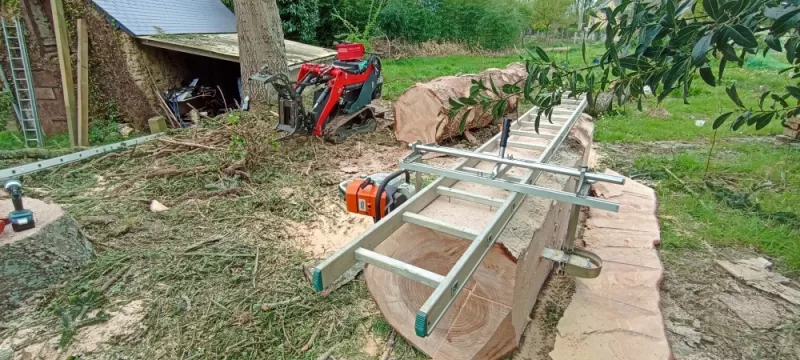 Sciage de bois en planche , scierie mobile, arbre design 