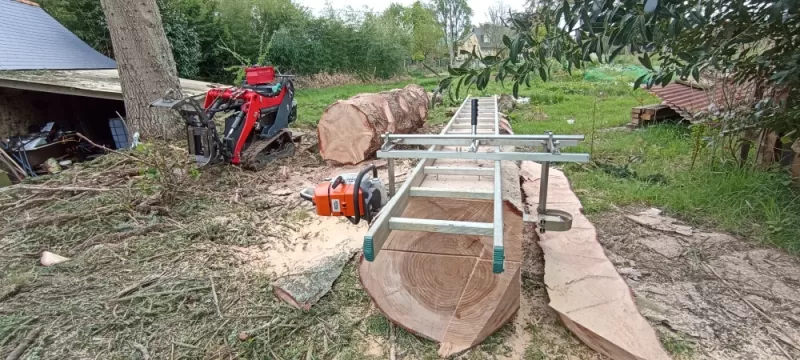 Sciage bois en planche saint malo. Arbre design 