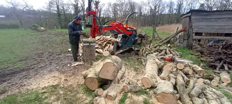 Fente de bois, Elagueur de dinan. 