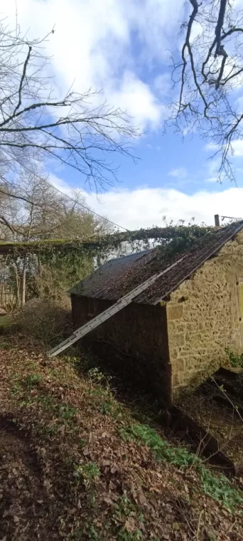 elagueur dol de bretagne