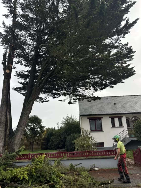 Abattage arbre Combourg 