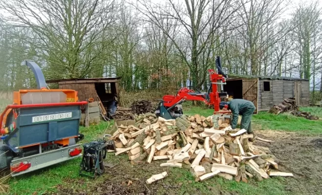 fente de bois. élagueur dinan