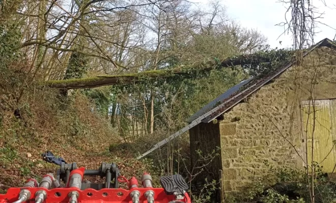 Châtaignier tombé sur une maison. bucheron dol de bretagne