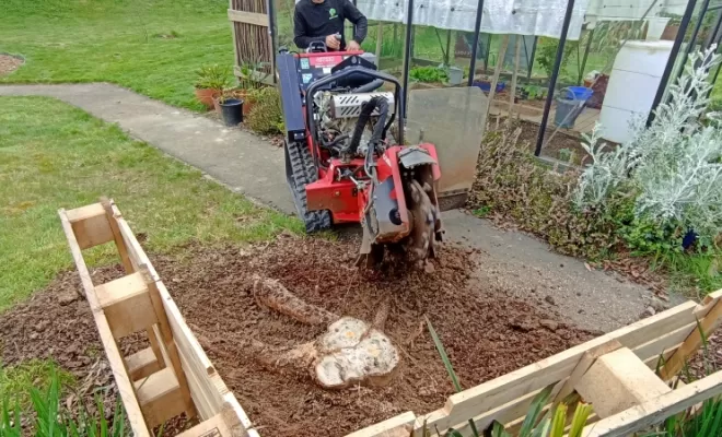 Rognage de souche d'arbre à Tinténiac 
