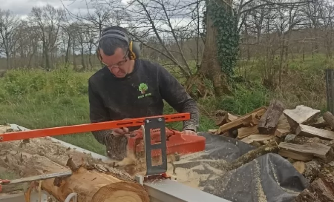 Sciage d'un orme à Tinténiac arbre design 