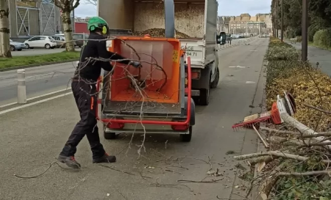 Broyeur de branches arbre design 