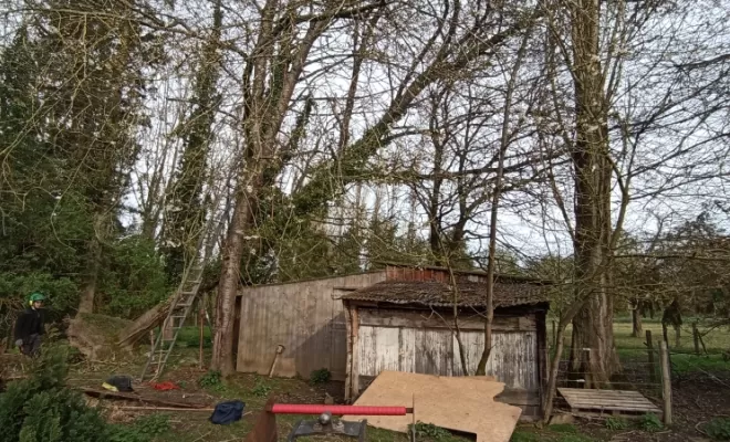 Démontage de l'arbre cassé 