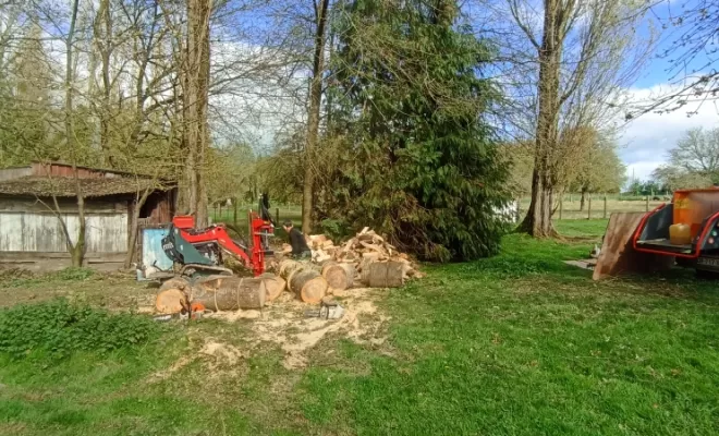 Fente de bois