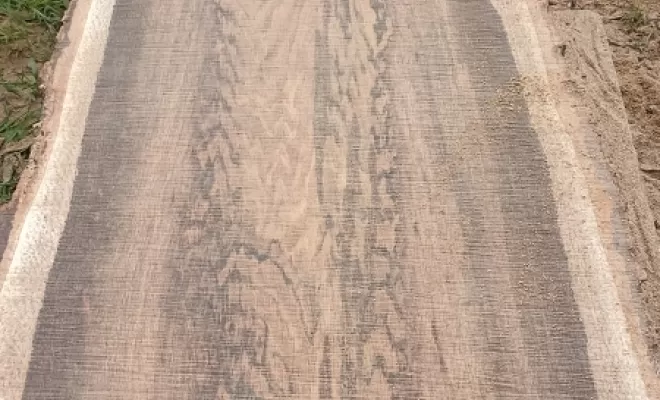 Sciage de chêne en planche à Miniac Morvan par l'entreprise arbre design , Meillac, Arbre Design