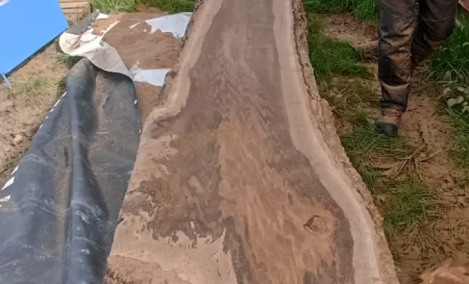Sciage de chêne en planche à Miniac Morvan par l'entreprise arbre design , Meillac, Arbre Design