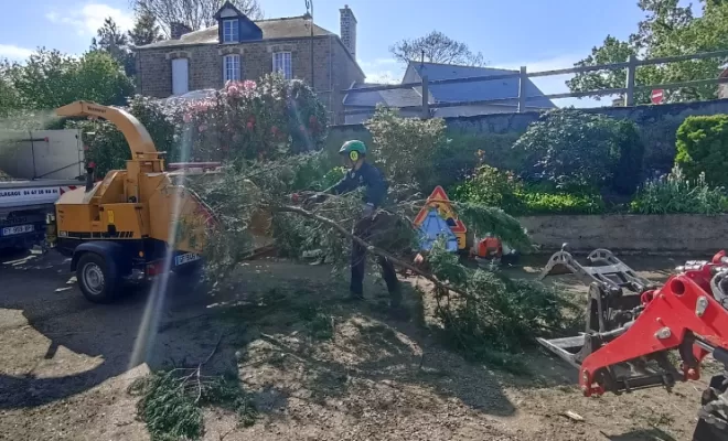 Broyage des branches , Dinan , arbre design 